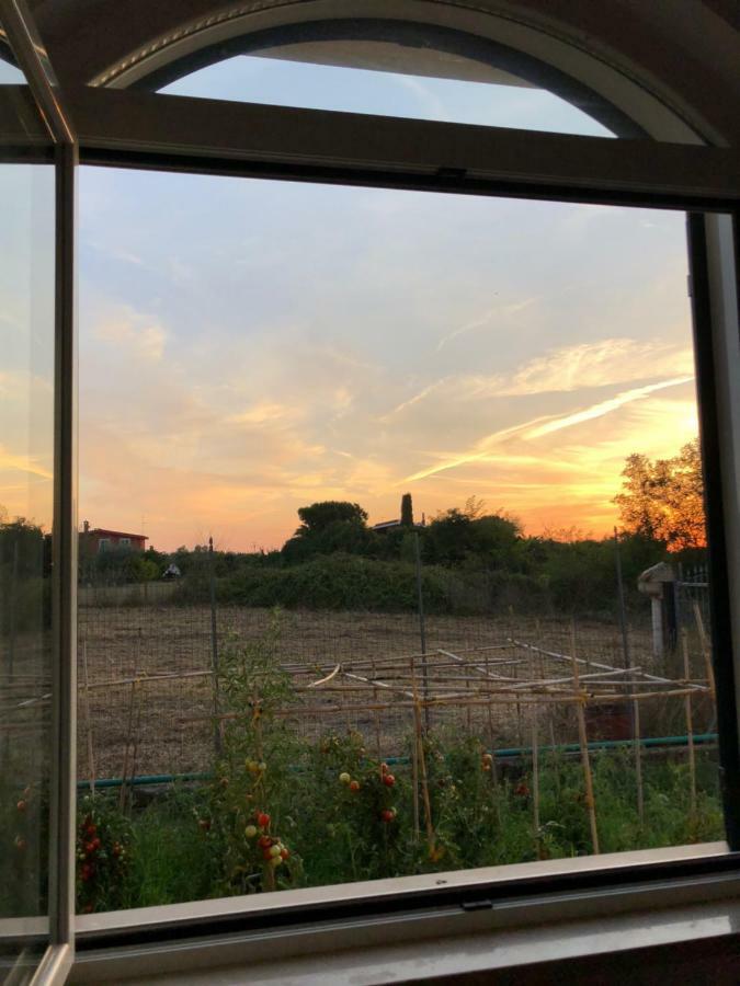 Agriturismo "Lo Zafferano" アプリーリア エクステリア 写真